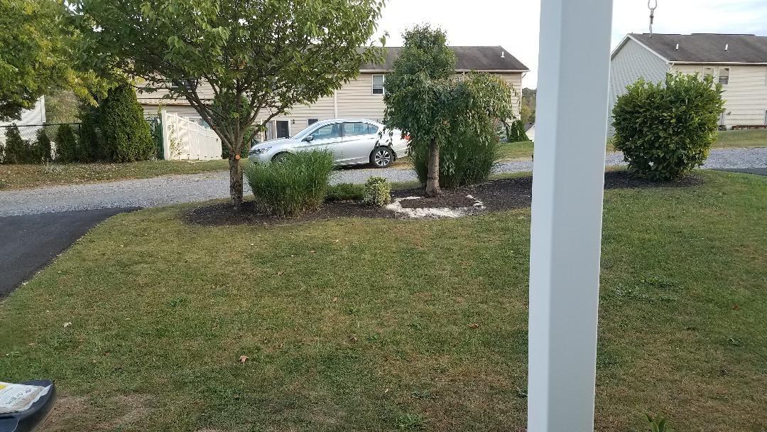 605 605 Peach View Lane #605 - Photo 4 of 18