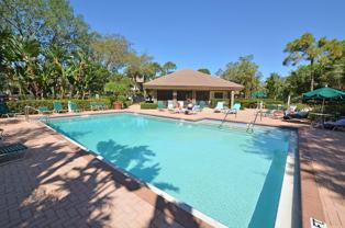 3611 Wild Pines Dr #202 - Photo 1 of 1