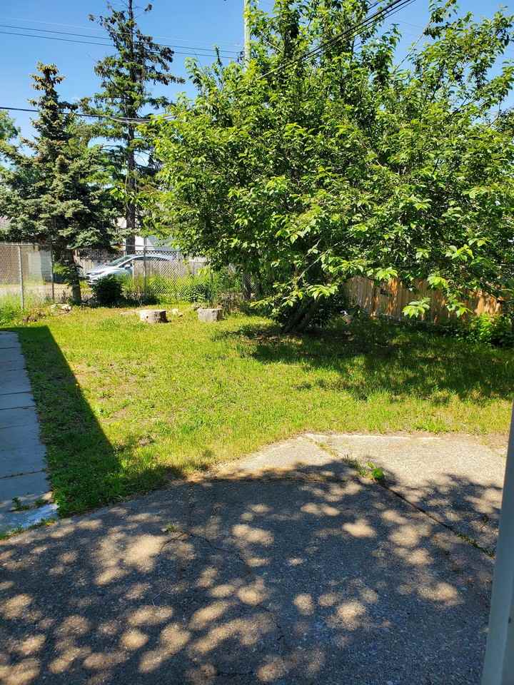 109 - 109 - 1255 Douglas Street #1255LOWER - Photo 2 of 11