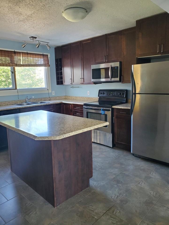 109 - 109 - 1255 Douglas Street #1255LOWER - Photo 4 of 11