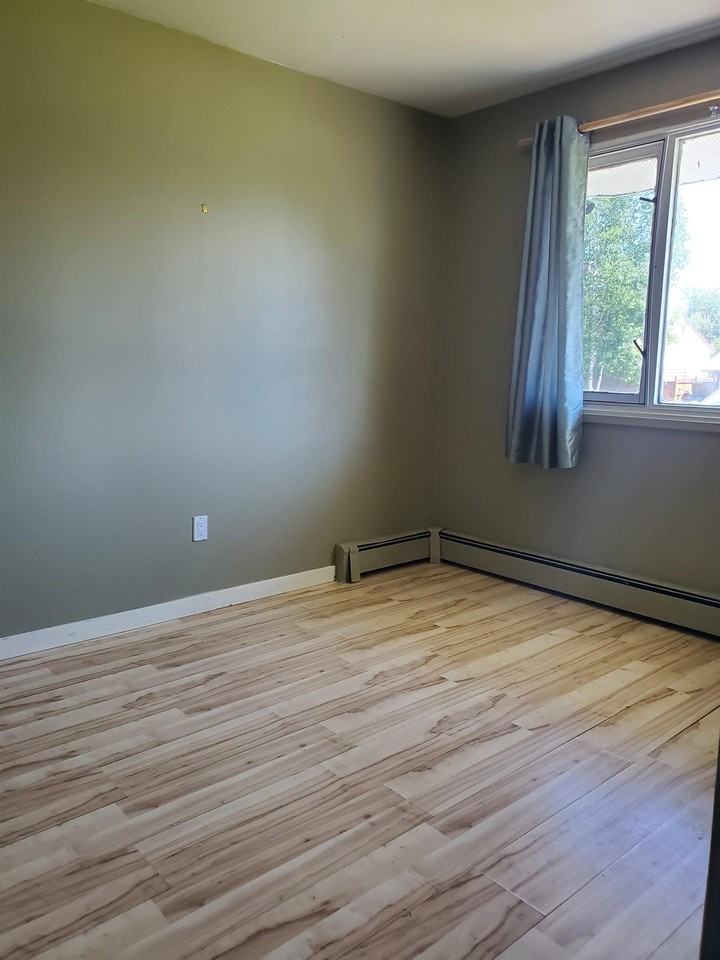 109 - 109 - 1255 Douglas Street #1255LOWER - Photo 5 of 11