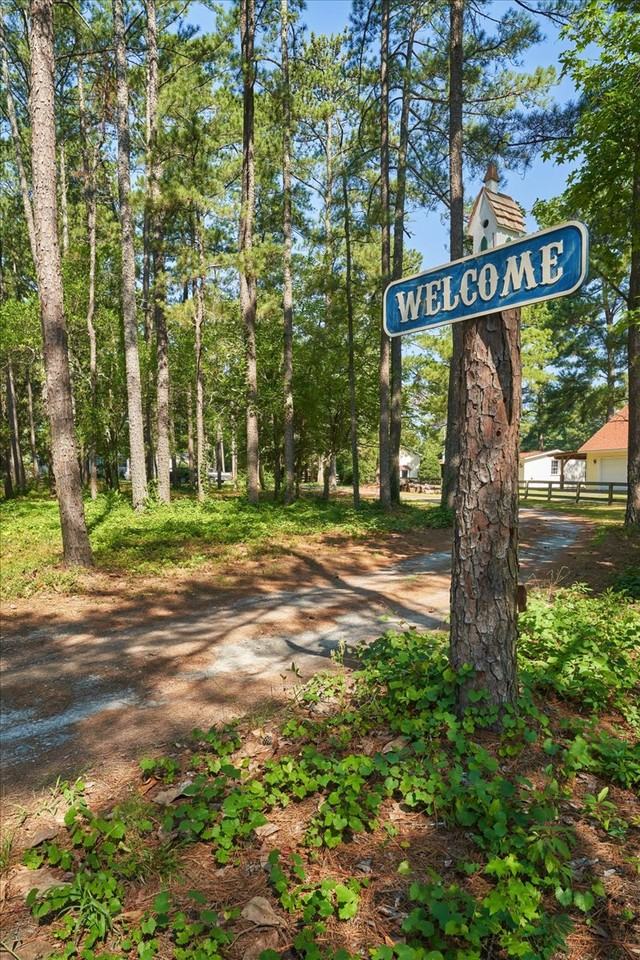 2850 Camp Easter Rd #B - Photo 4 of 32