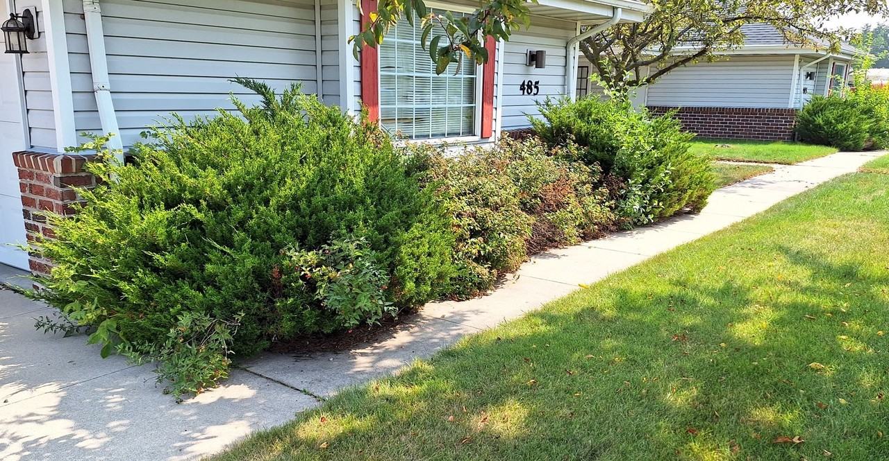 Hustisford Apartments-Hustisford - Photo 3 of 6