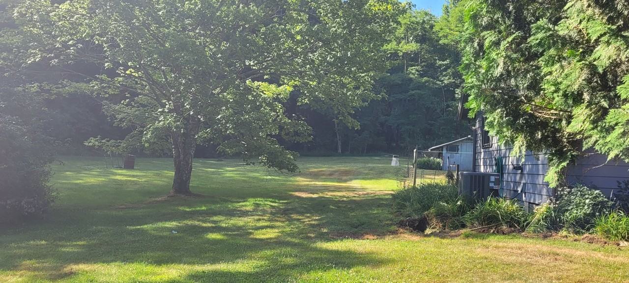 203 Church Hollow Rd - Photo 7 of 25