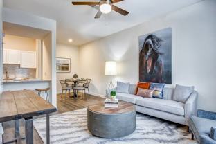 Elevation 3505 Apartments & Townhomes - Photo 1 of 1