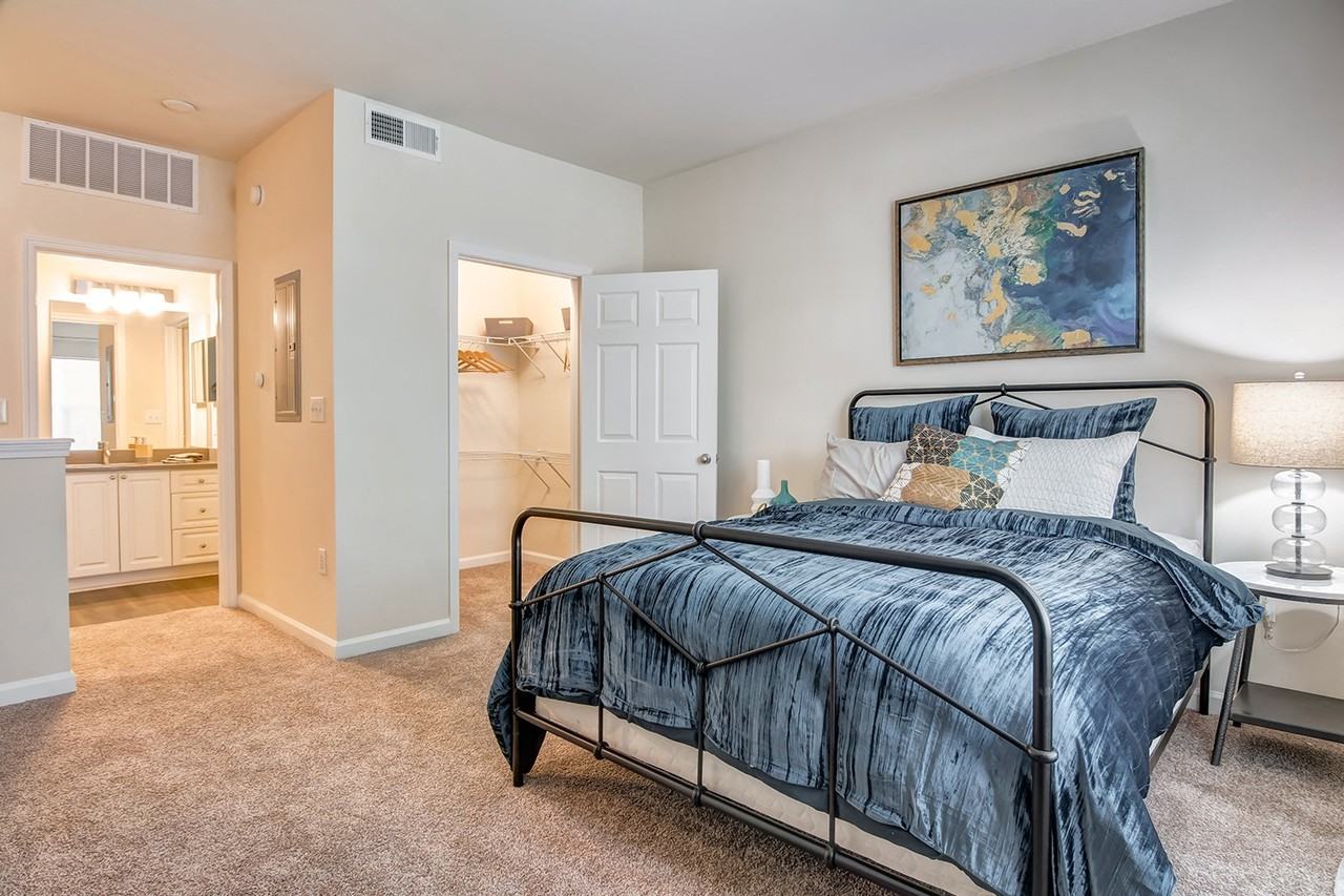 Elevation 3505 Apartments & Townhomes - Photo 3 of 19