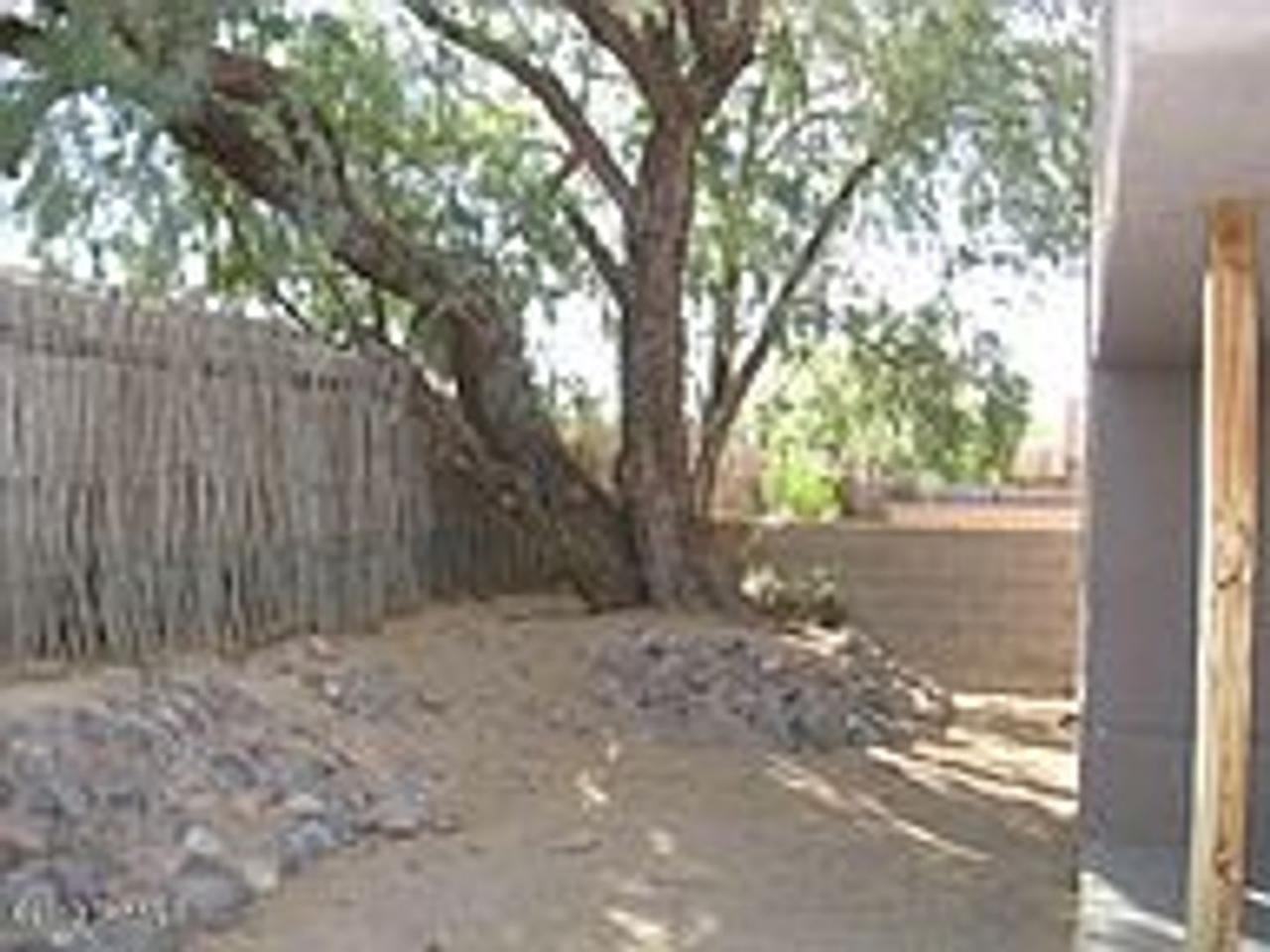 3656 Kapok Lane - Photo 3 of 5