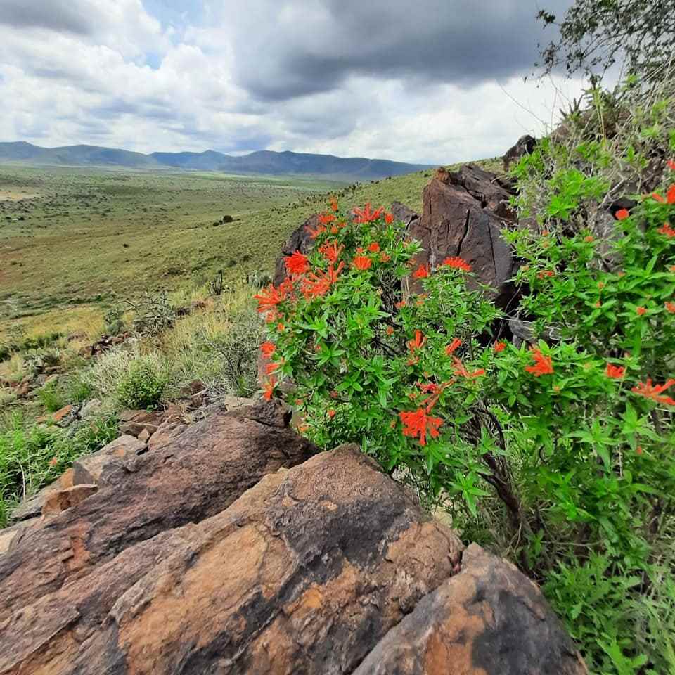 2 Peters Ln #NA - Photo 3 of 21