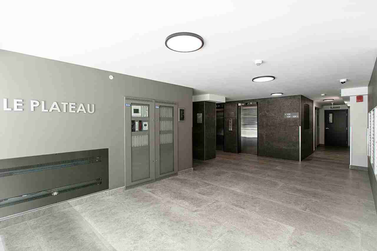 Le Plateau - 3605 St-Urbain - Photo 6 of 44