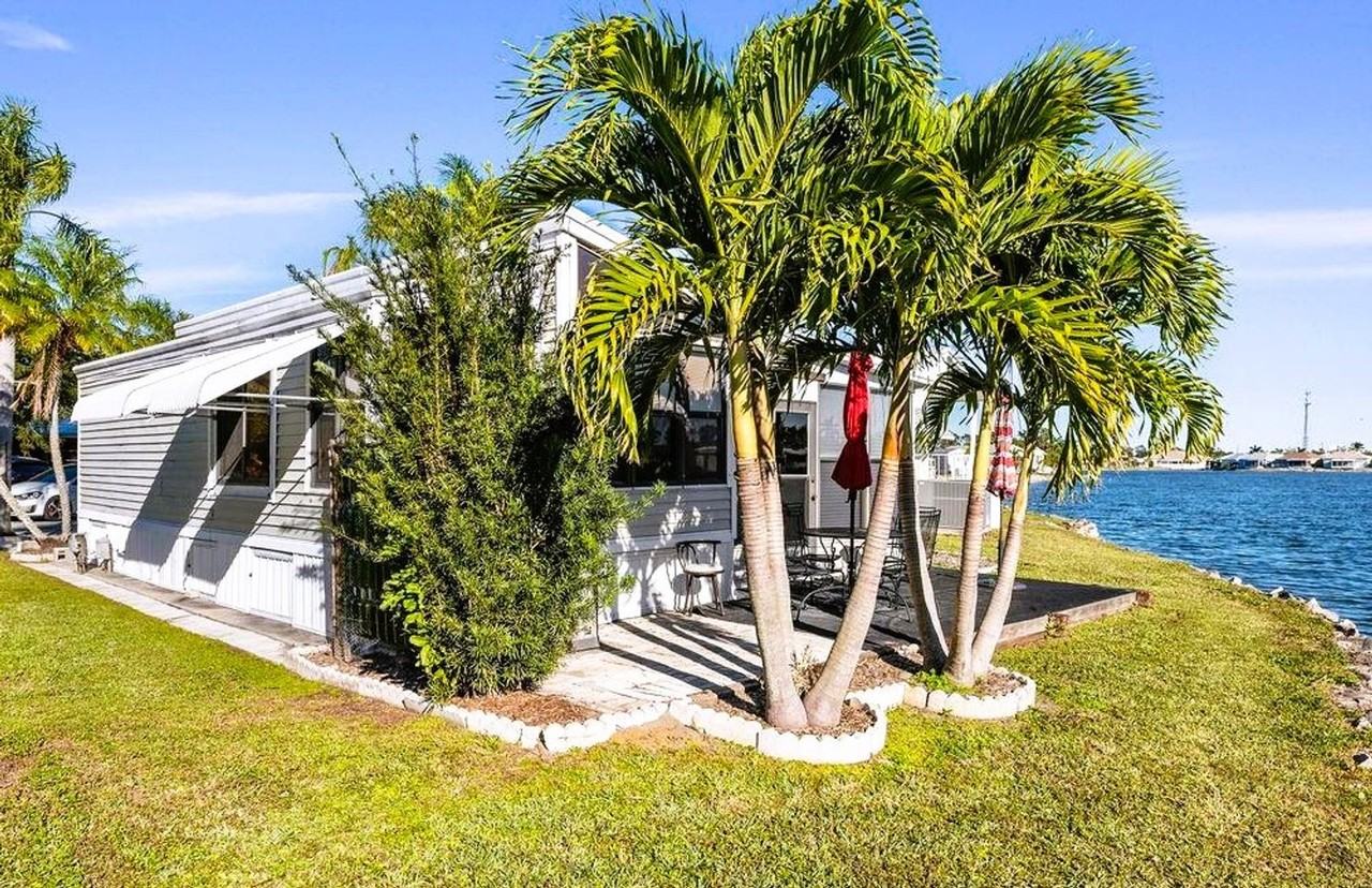 10835 Bonapartes Gull - Photo 2 of 26