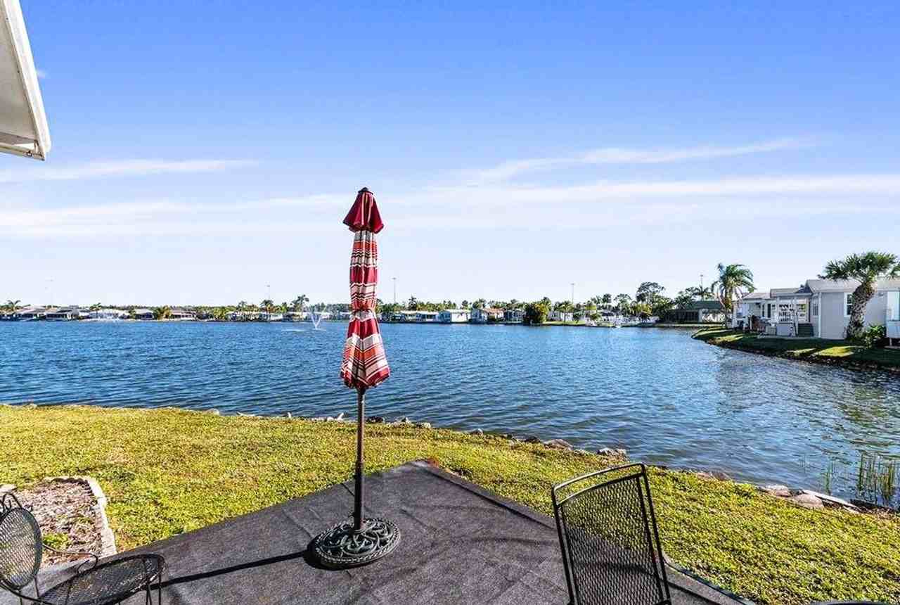 10835 Bonapartes Gull - Photo 3 of 26