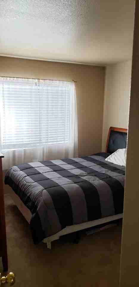 4834 Little Cayman St - Photo 2 of 8