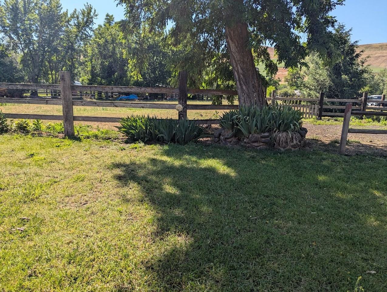 22950 Gourney St - Photo 3 of 16