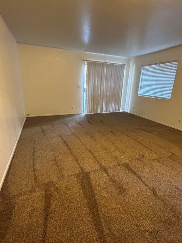 1210 Ivy St - Photo 2 of 28