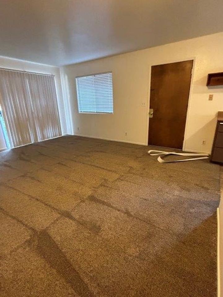 1210 Ivy St - Photo 3 of 28