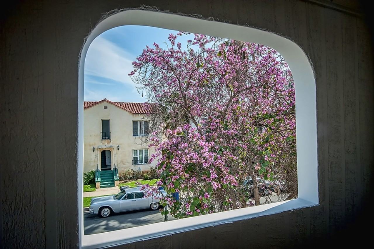 Ogd439 - Photo 3 of 25