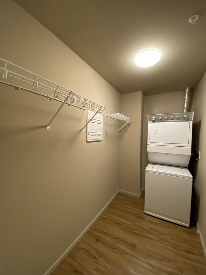 NICO - Photo 6 of 32