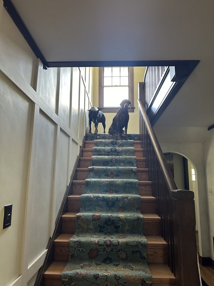 Pet Friendly Houses for Rent in Near Westside, Decatur, IL Rental