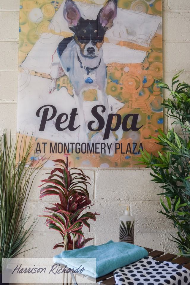 Montgomery Plaza - Photo 6 of 13