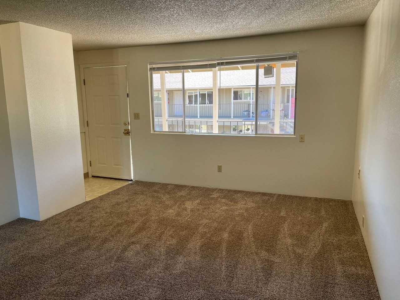 SKAE355 - Photo 3 of 13