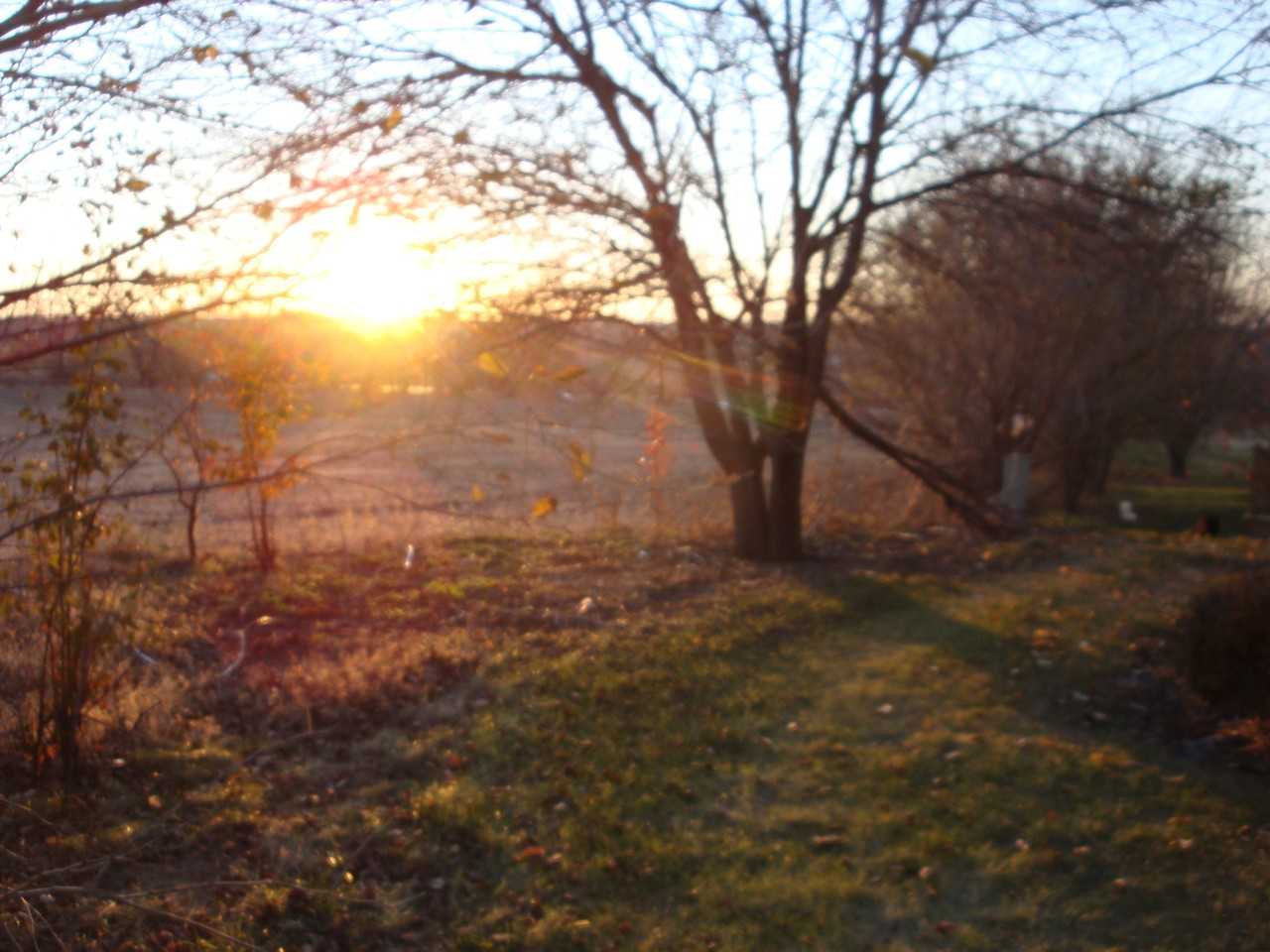 1105 Grenoble Dr - Photo 5 of 17