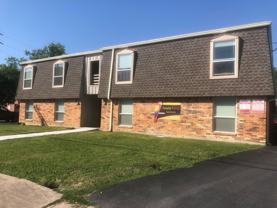 Snooty Parrot - Photo 1 of 1