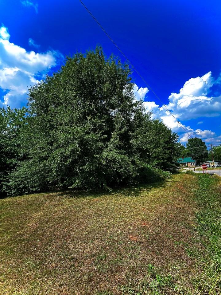 367 E Reedy Fork Rd #NA - Photo 3 of 41