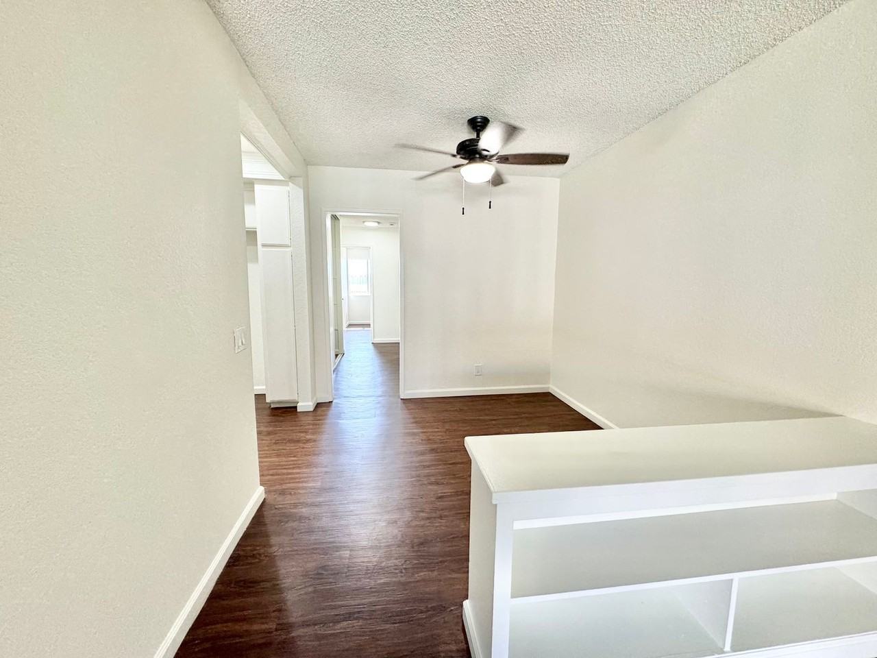 Daisy Apartments - Photo 5 of 18