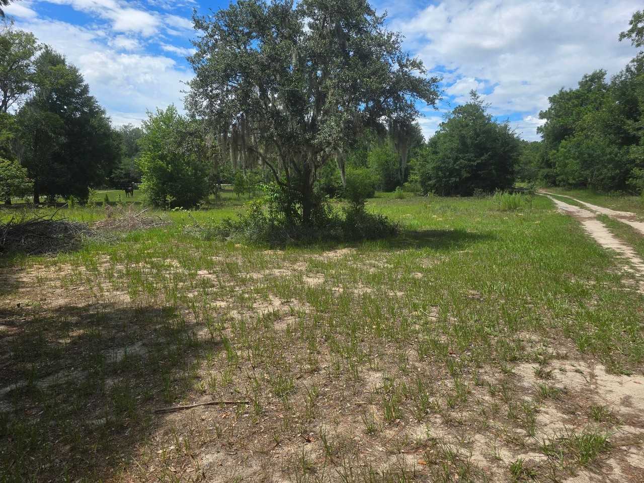 719 State Road 26 - Photo 2 of 12