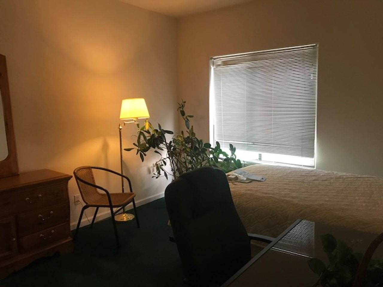 7414 S Alkire St #206 - Photo 3 of 11