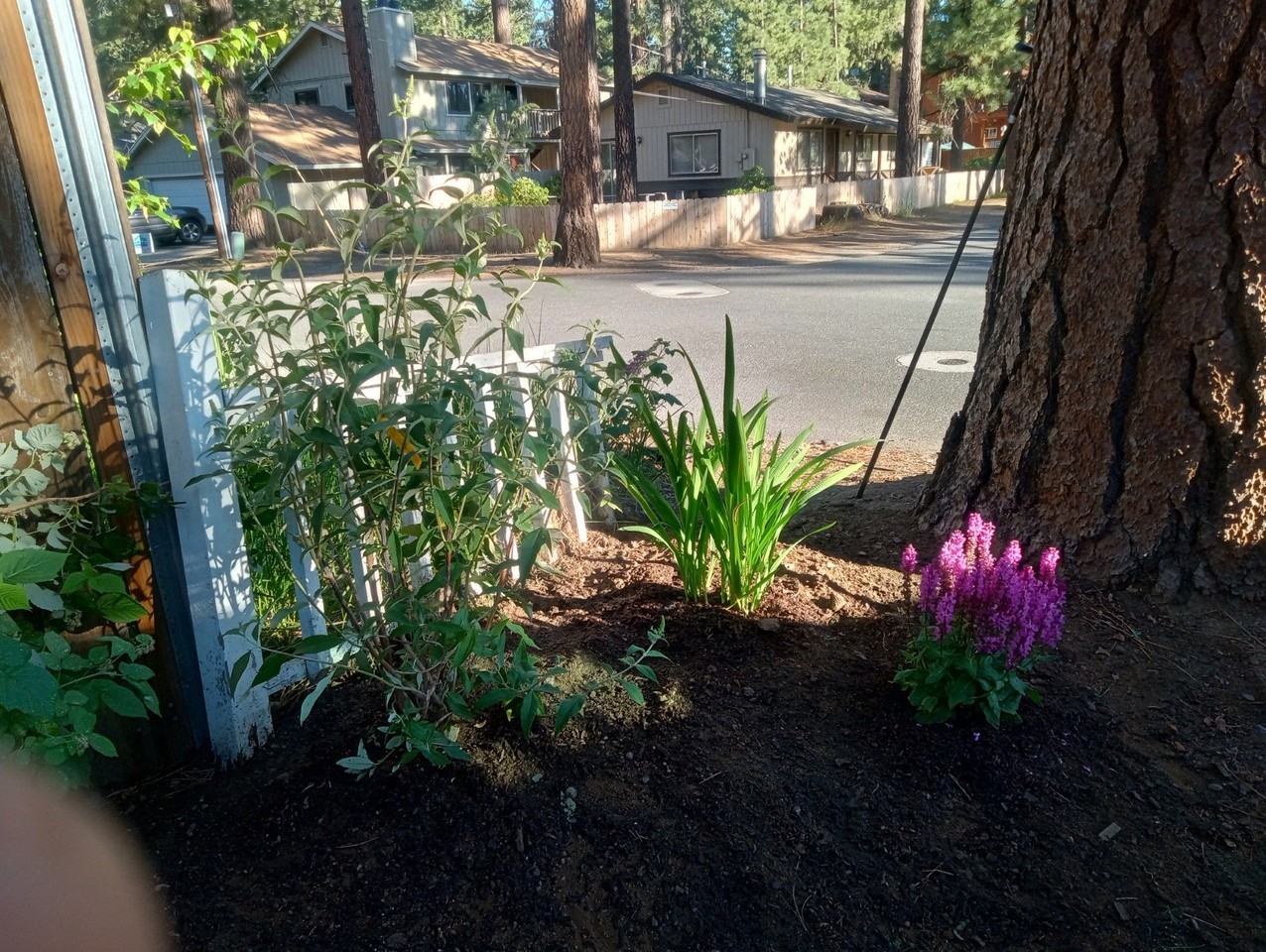 MO966-Lakeside Village LLC - Photo 4 of 24