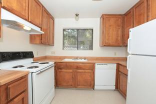 Willow Park - Photo 1 of 1