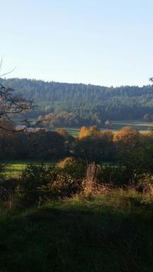 37997 NW Soap Creek Rd - Photo 2 of 16