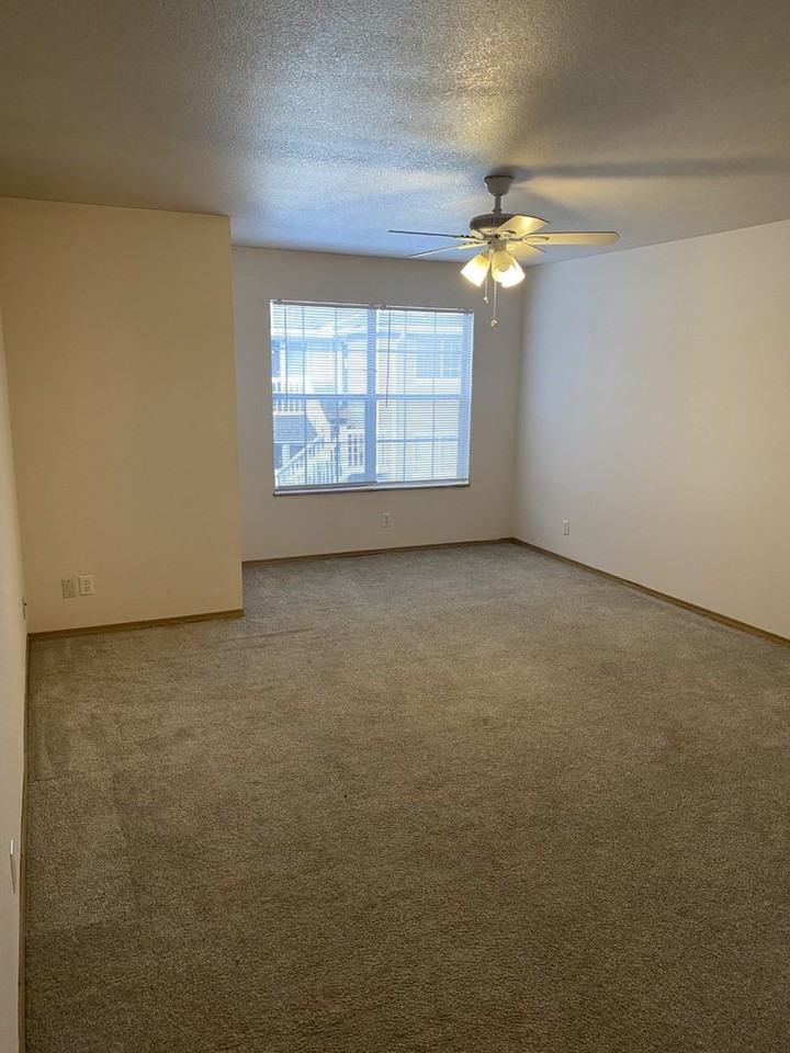 Chamberlain Court Apartments - Photo 7 of 21