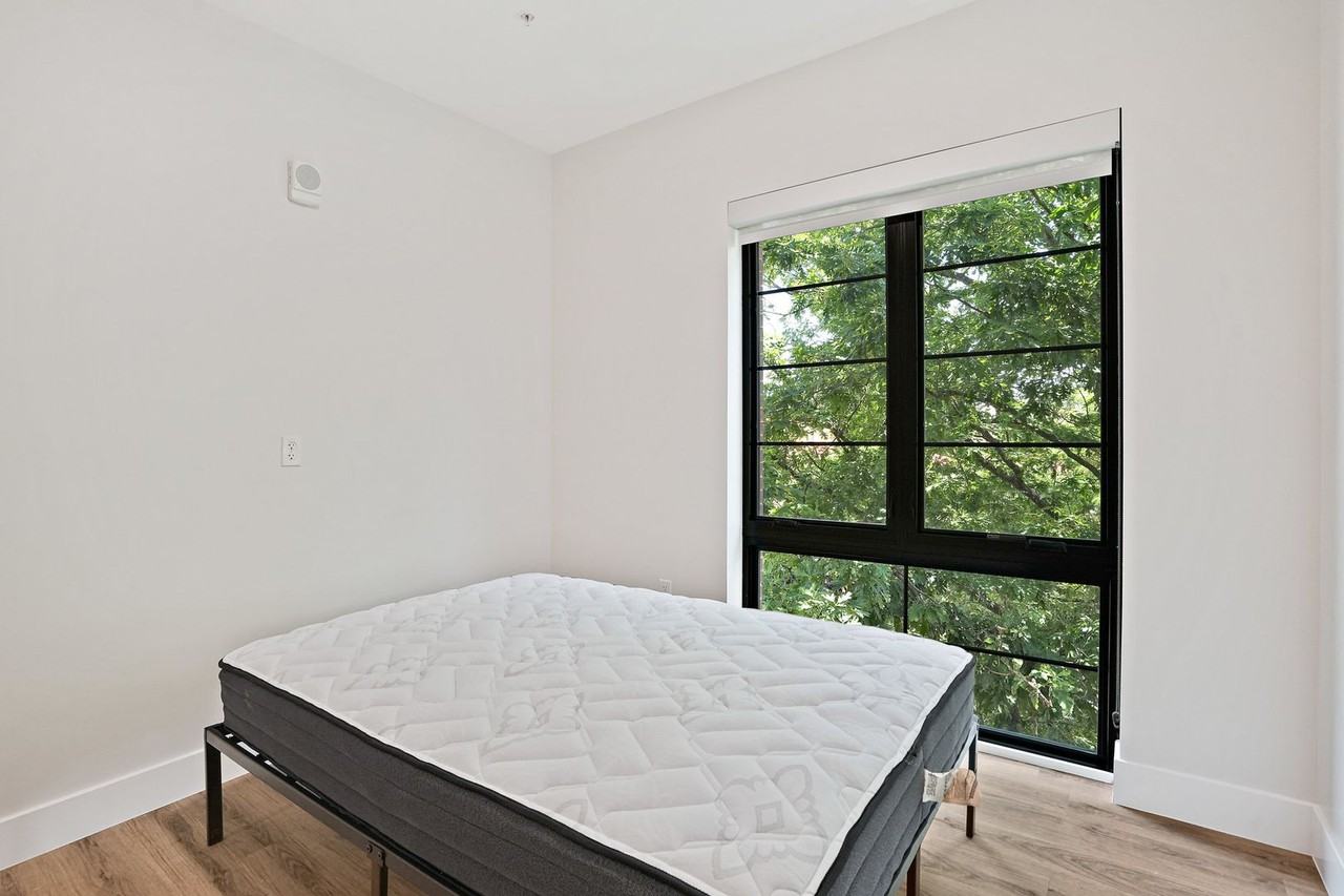 Cypress on Vine - Photo 4 of 50