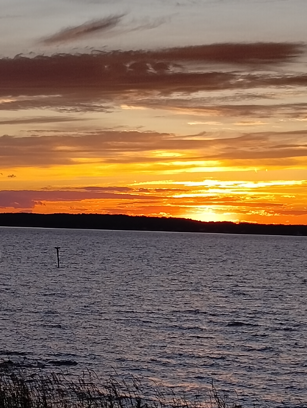 6111 11th St - Photo 3 of 3