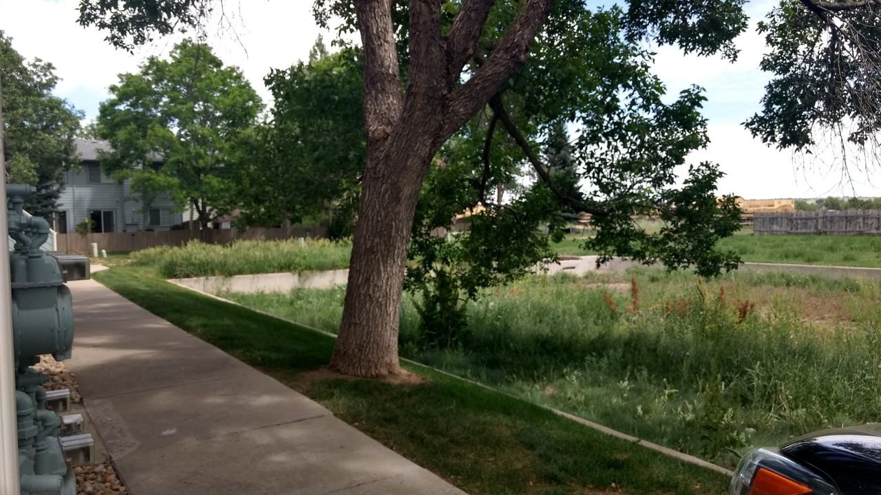 1425 Bacchus Dr - Photo 3 of 23