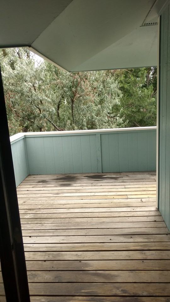 1425 Bacchus Dr - Photo 7 of 23