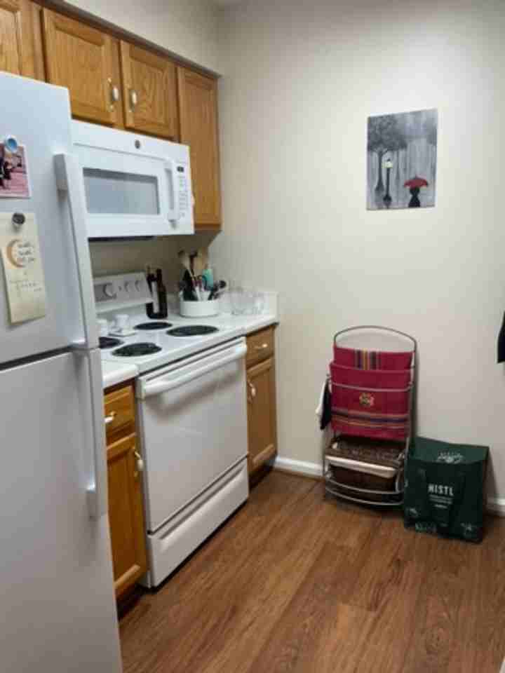 209 Bristol Cmn - Photo 4 of 14