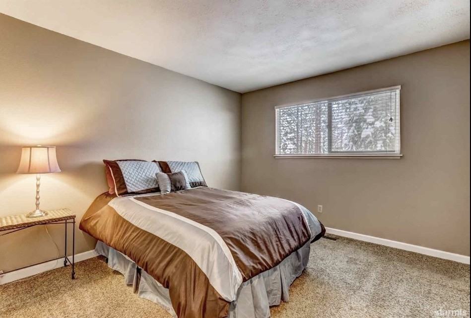 869 Tahoe Island Dr #NA - Photo 3 of 19