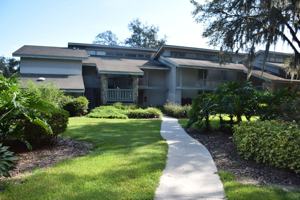featured image of 157 Palm View Ct