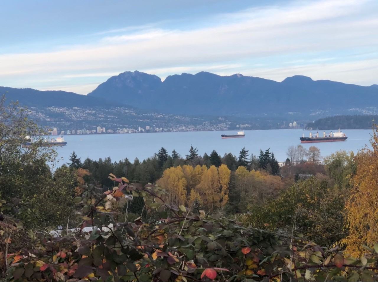 Apartments for Rent in West Point Grey, Vancouver, BC - 25 Rentals | Zumper