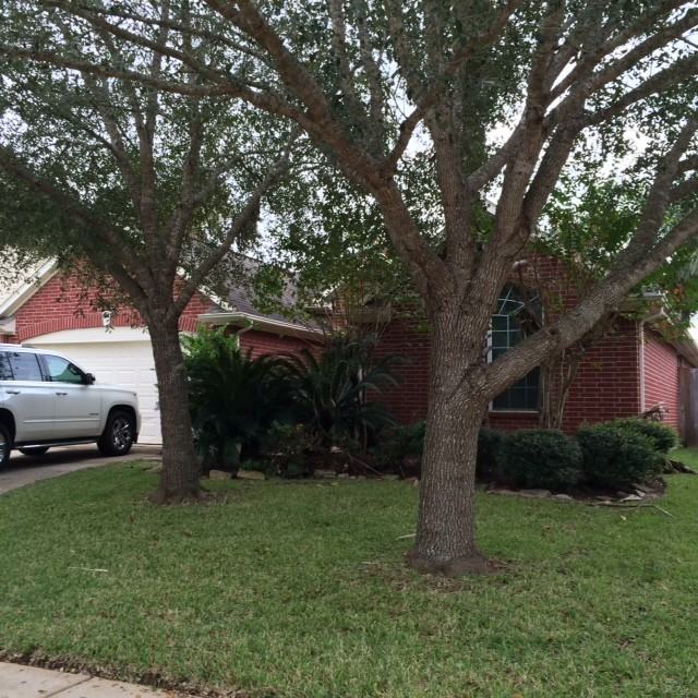 3906 Dell Park - Photo 3 of 6