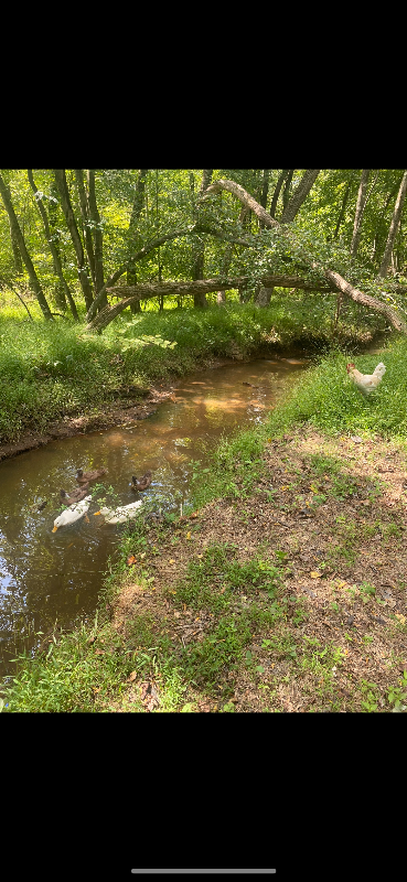 6 Bright Rd - Photo 3 of 18