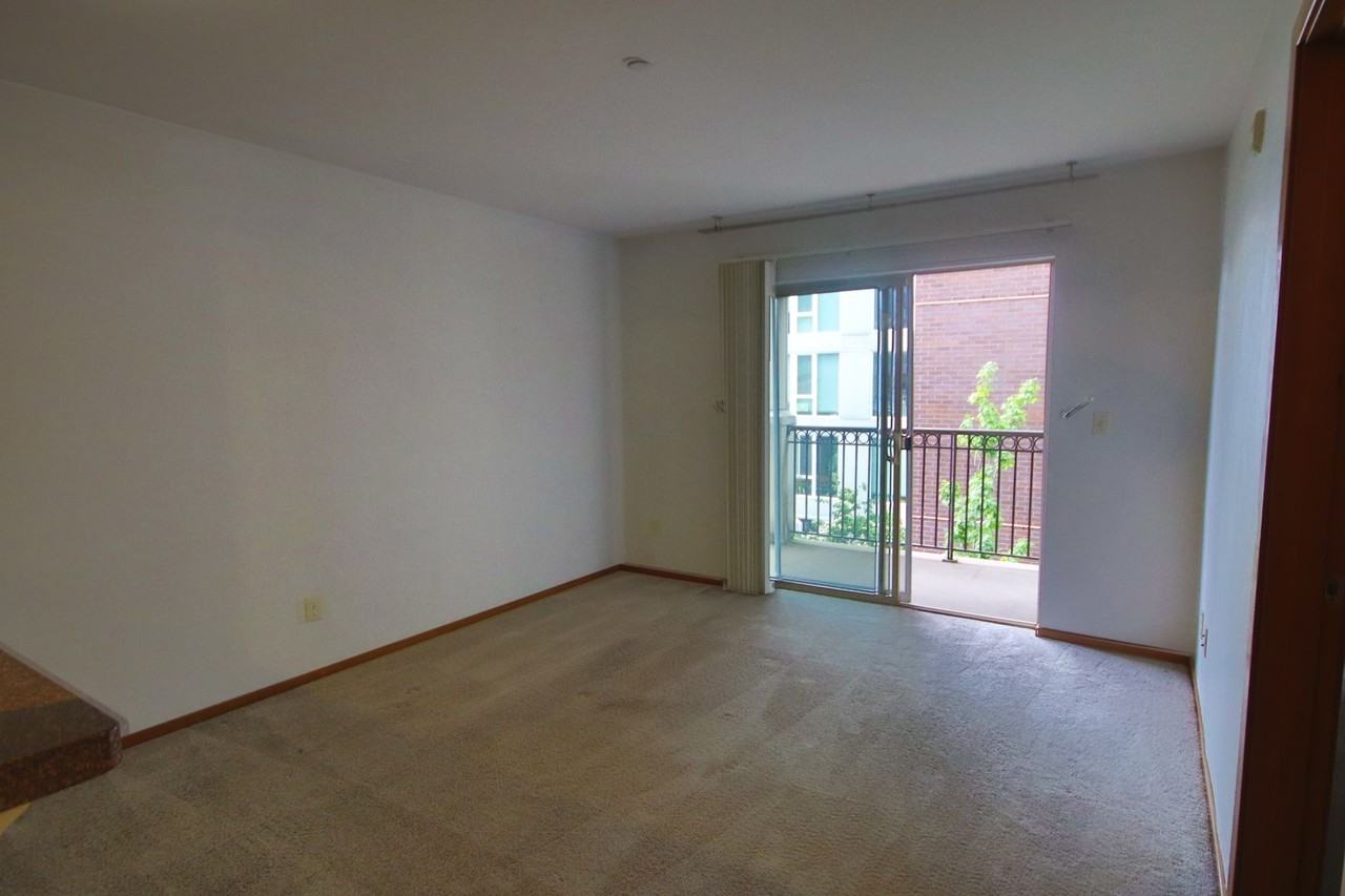 1125 E Olive St #306 - Photo 2 of 16