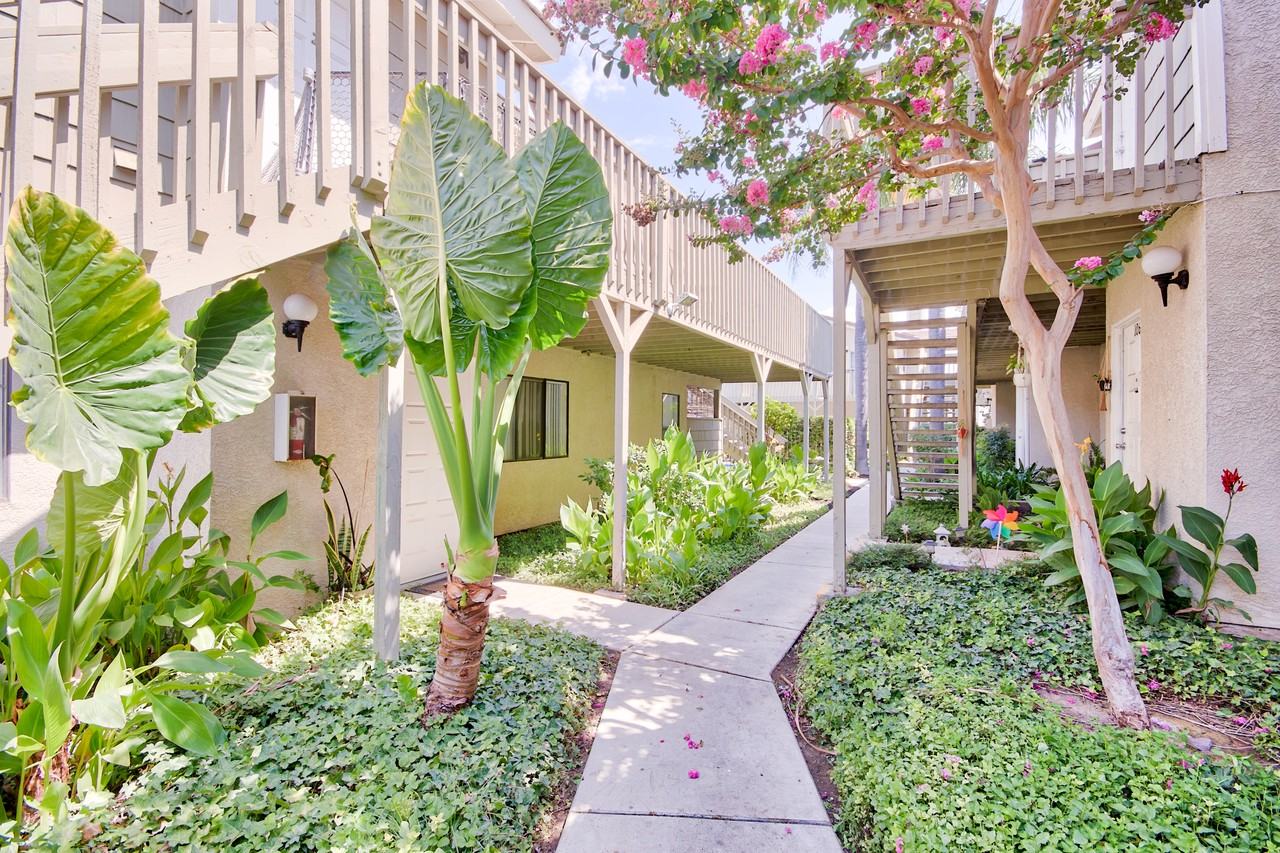 La Sierra - Photo 7 of 50