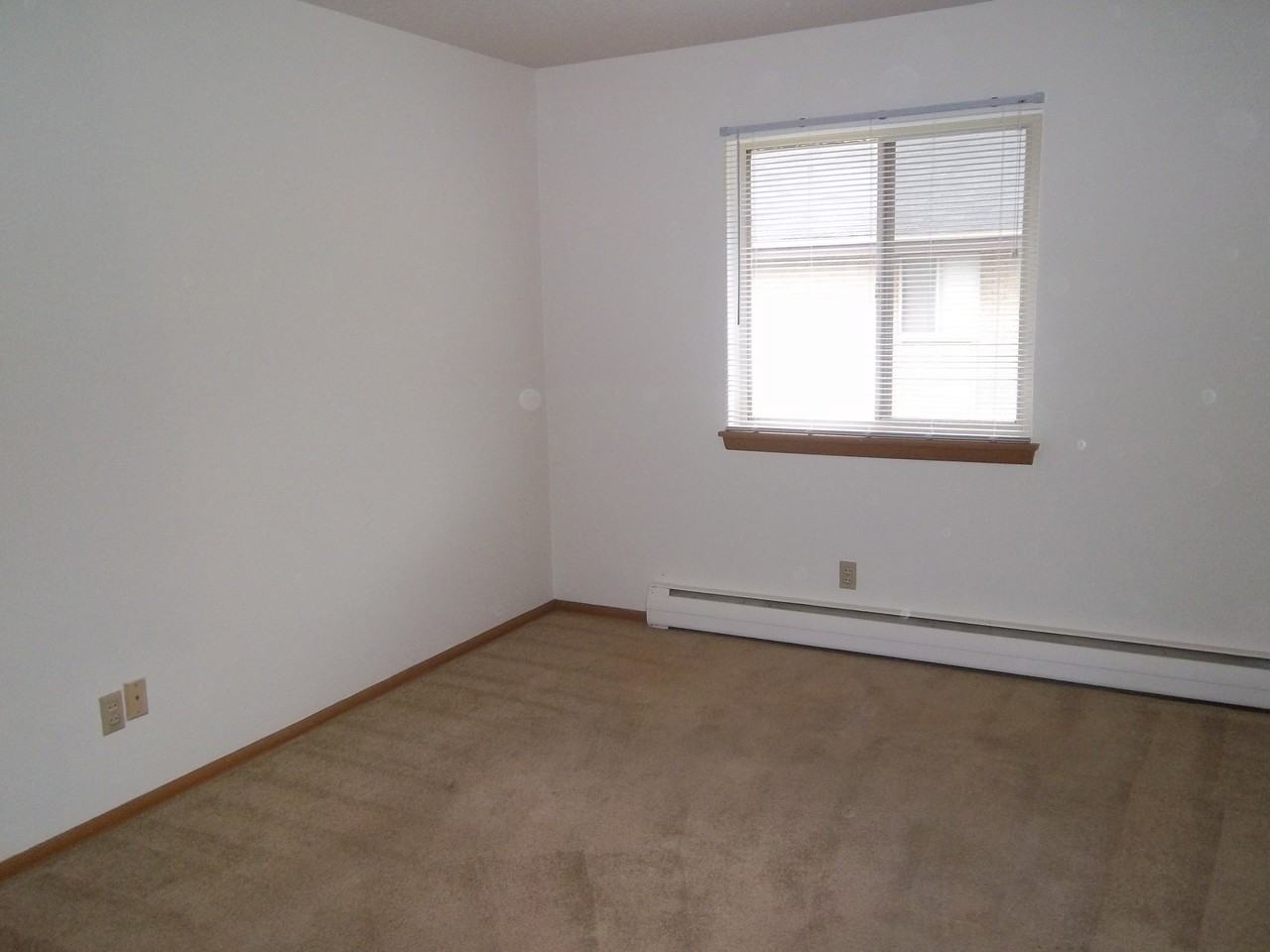 5529-43 Disch - Photo 3 of 4