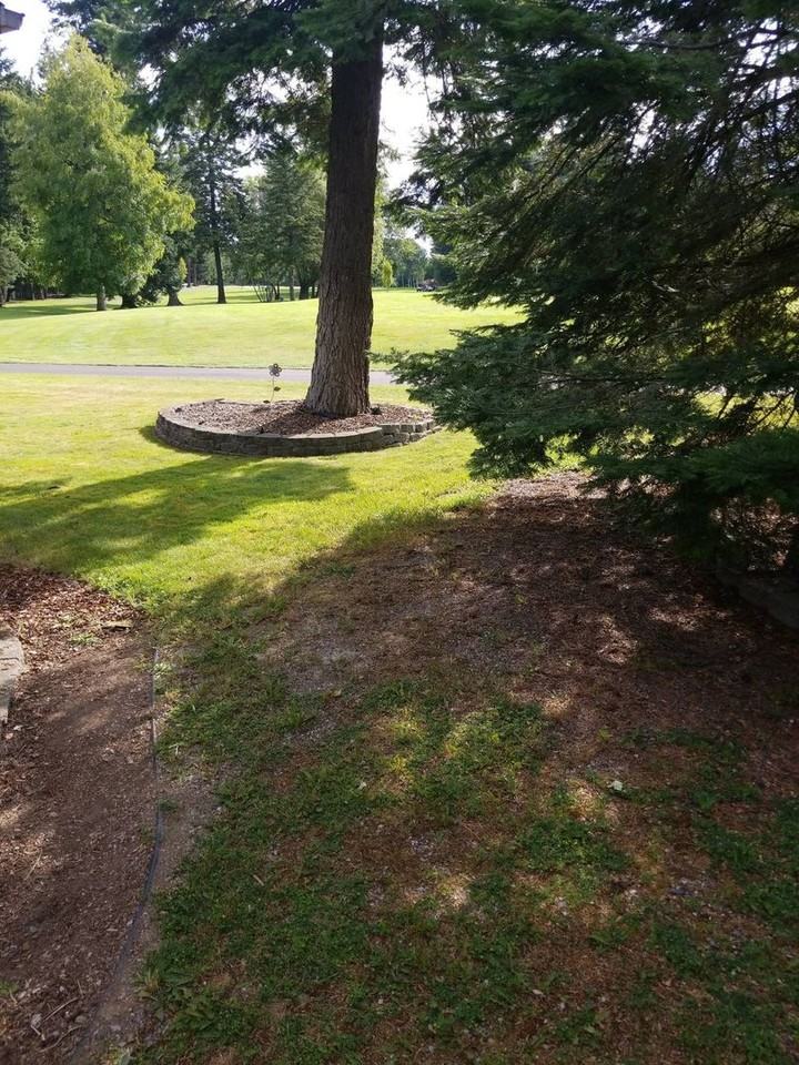 11784 N Strahorn Rd - Photo 3 of 38