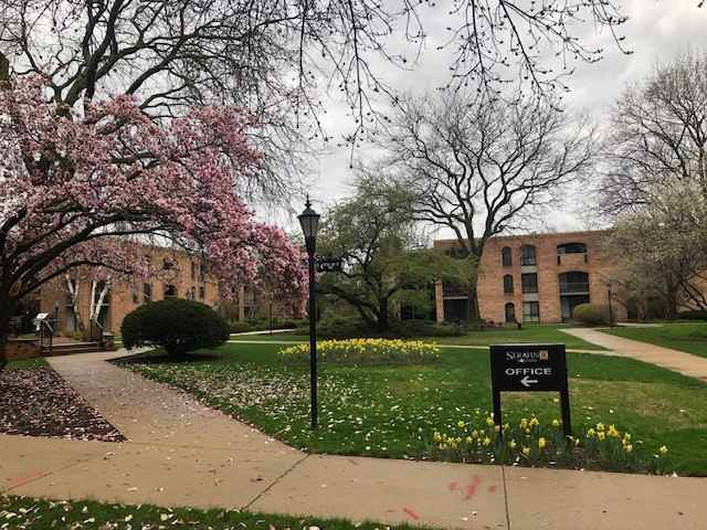 Serafino Square Apartments - Photo 7 of 34