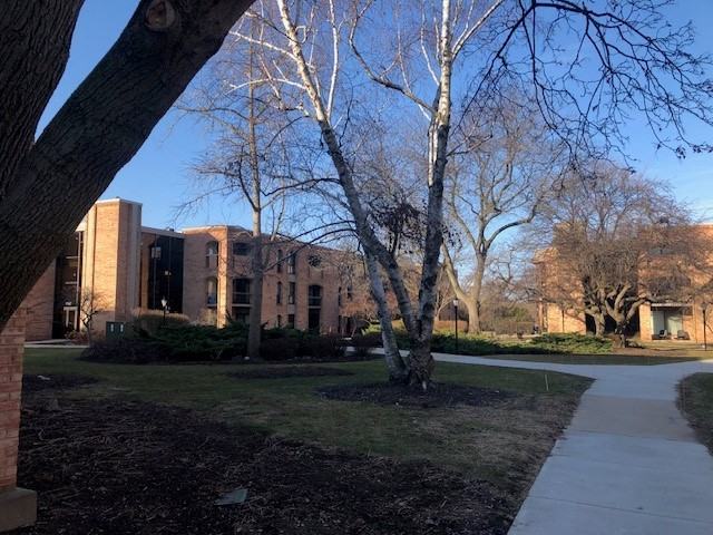 Serafino Square Apartments - Photo 4 of 34